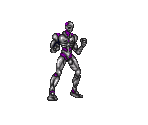 Metal Hawk