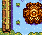 Evergreen (Expansion 2)