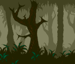 Woods