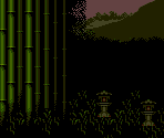 Bamboo Forest