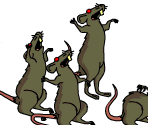 Plague Rats