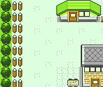 Viridian City