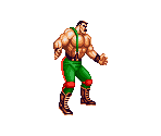 Mike Haggar