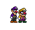 Wario & Waluigi