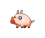 Pork Pig