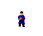 Wolfenstein S.S. Guard