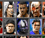 Fighter Select