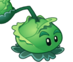 Cabbage-pult