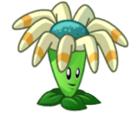 Bloomerang