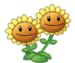 Twin Sunflower