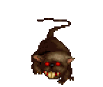 Rat