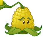 Kernel-pult