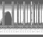 Stages