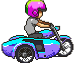 Sidecar Bike