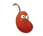 Chili Bean