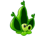 Pea Pod