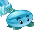 Winter Melon