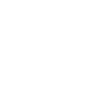 Fonts