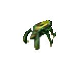 Beetle