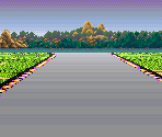 Forest I