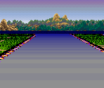 Forest II