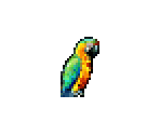 Parrot