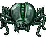 Beetle