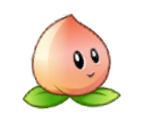 Peach