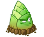 Bamboo Shoot