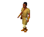 Human 5