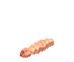 Worm