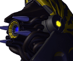 Nautilus