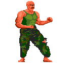 Marine Sergeant