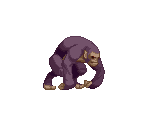 Pongo