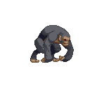 Ramapithicus