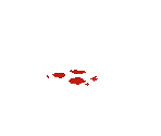 Blood