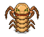 Giant Centipede