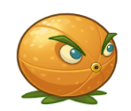 Citron