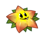 Starfruit