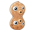 Pea-nut