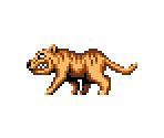 Hyaenodon