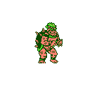 Kupa / Bowser
