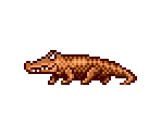 Alligator