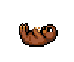 Sea Otter