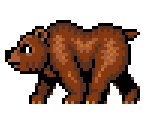 Grizzly Bear