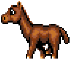 Eohippus