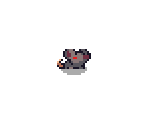 Rat