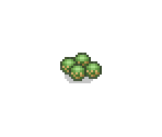 Worm Eggs