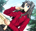 Unlimited Blade Works (1/2)