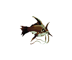 Current Fish